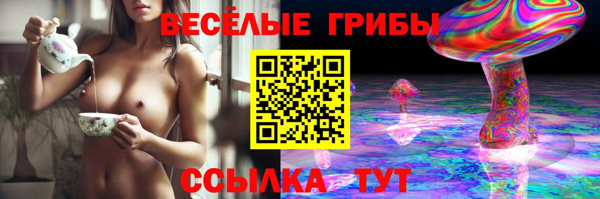 Галлюциногенные грибы Cubensis  Вход с VPN  Галлюциногенные грибы Cubensis  Екатеринбург 